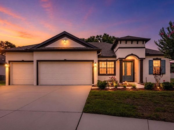 11026 BRAHMAN RANCH CIRCLE , RIVERVIEW, FL 33578