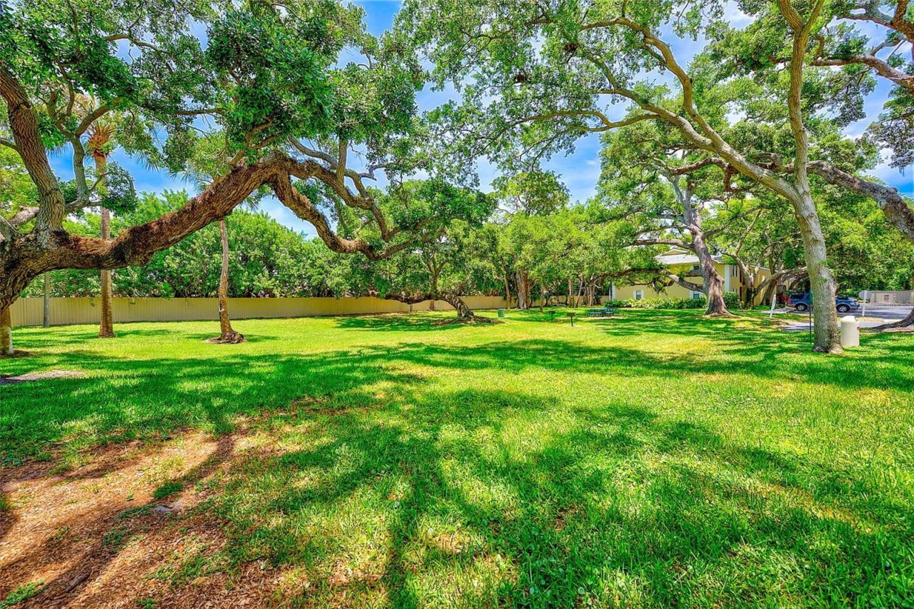 3001 58th Avenue S, Unit 612, Saint Petersburg, FL 33712 Photo