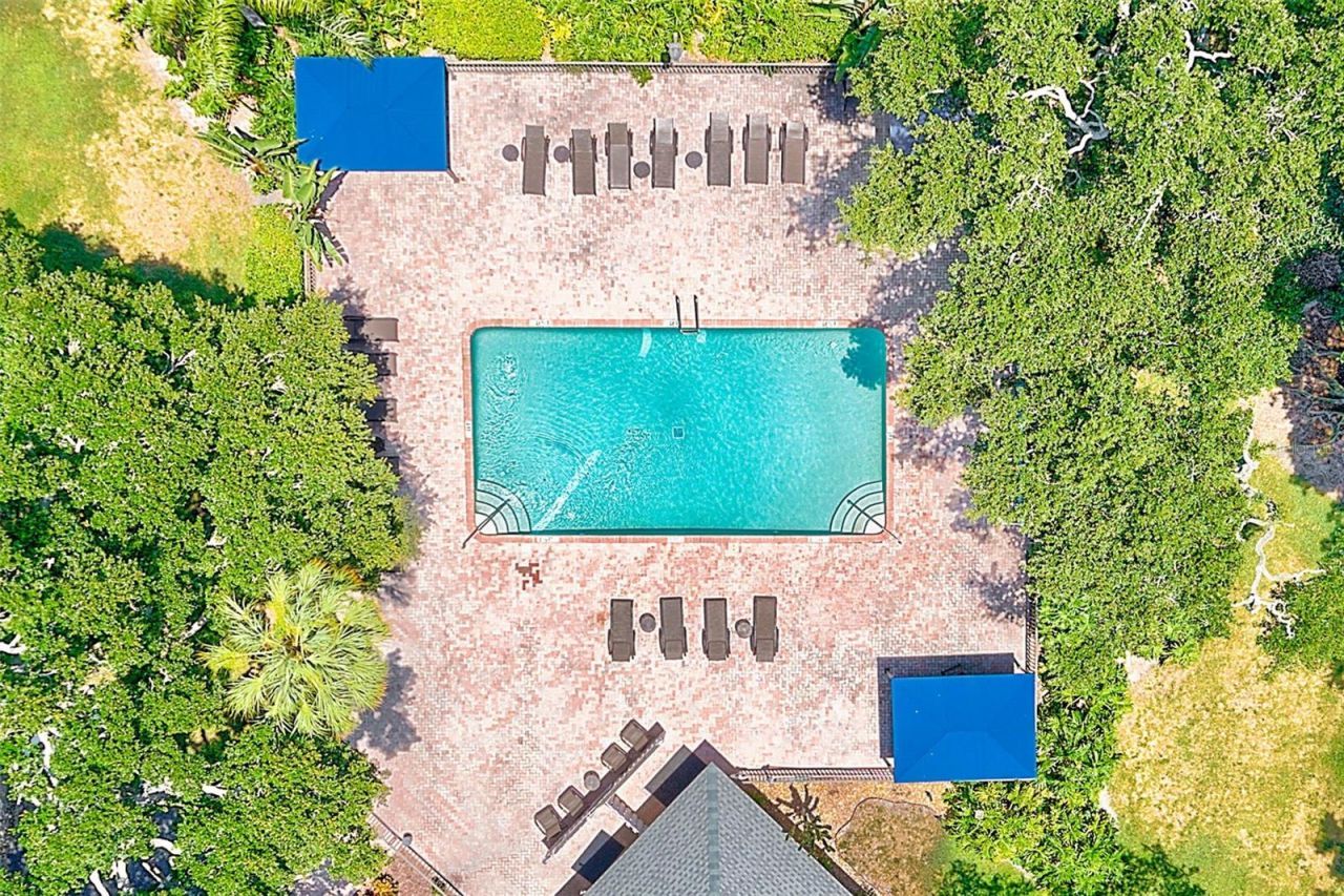 3001 58th Avenue S, Unit 612, Saint Petersburg, FL 33712 Photo