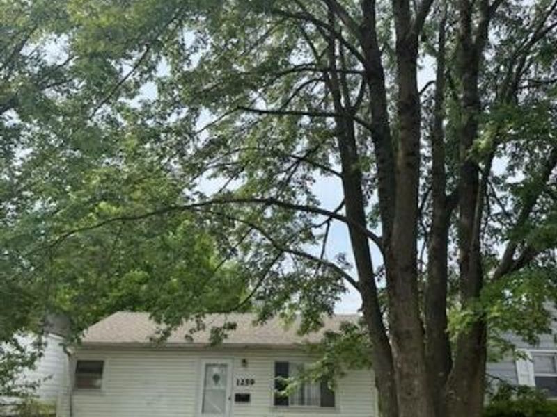 1259 E 16th Avenue, Columbus, OH 43211 Photo 3