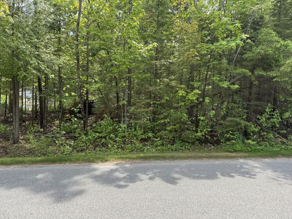 8340 Cordwood Trail, Cheboygan, MI 49721
