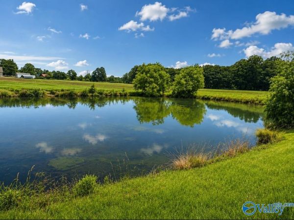 44 acres County Road 83, Centre, AL 35960