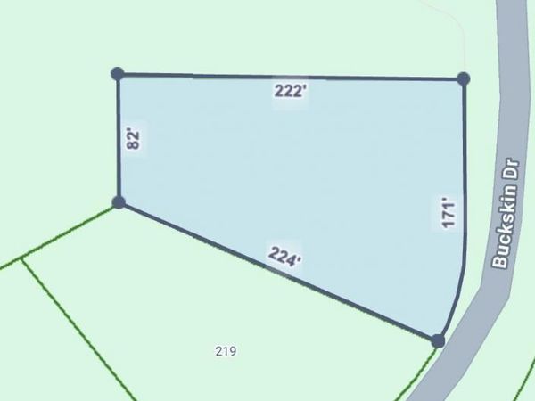 20 Buckskin Drive, Guntersville, AL 35976