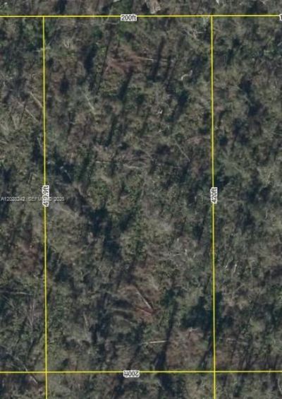 00 NW Possum Path , Mayo, FL 32066 Photo