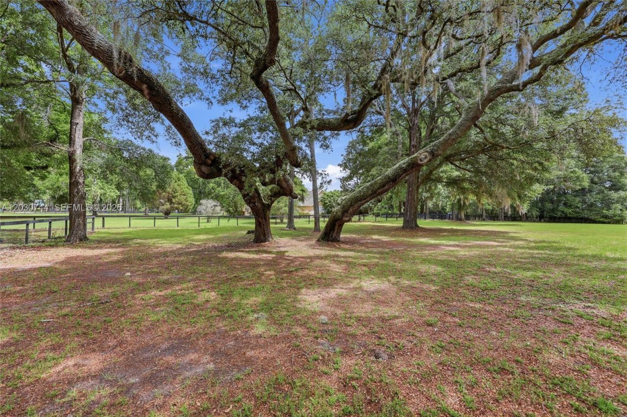 26341 NW 166 , High Springs, FL 32643 Photo