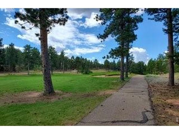 3021 Lake Arapahoe Ct, Red Feather Lakes, CO 80545