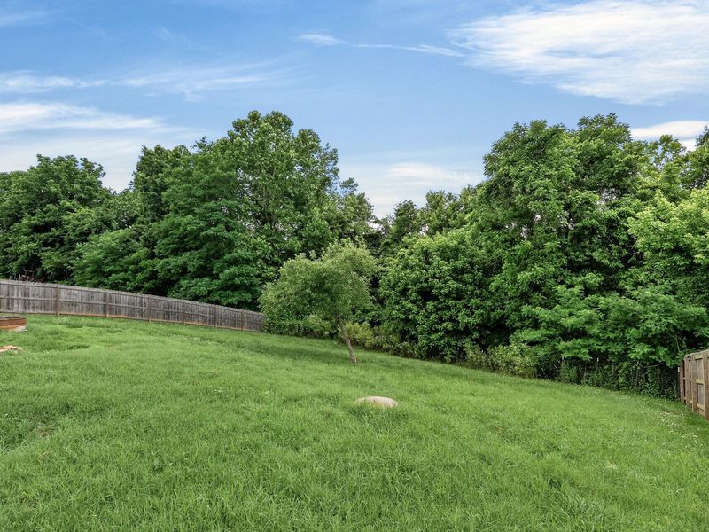 300 Pimlico Court, Crittenden, KY 41030 Photo 23