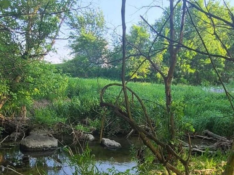 21044 Dingman Slagle Road, Sidney, OH 45365 Photo 9