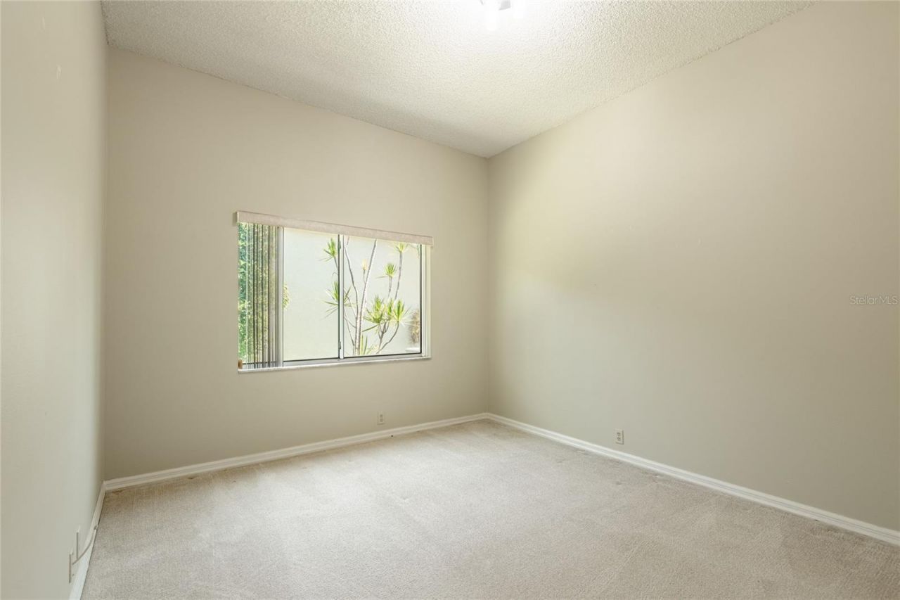 690 Weathersfield Drive, Dunedin, FL 34698 Photo