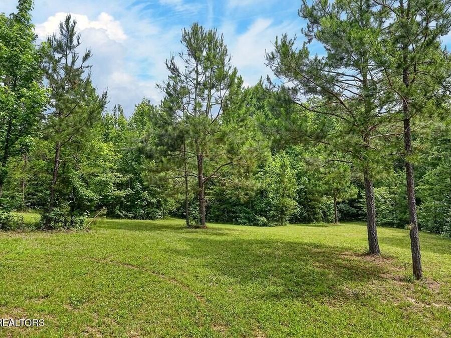 Property Image 50