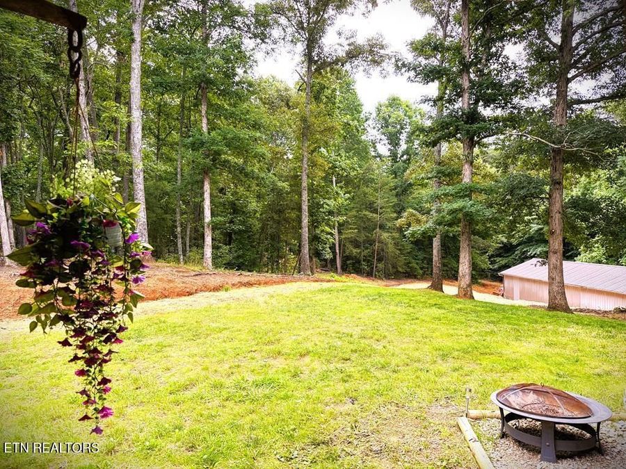 Property Image 58