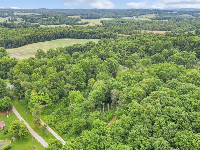 10770 Graffis Road, Bremen, OH 43107 Photo 39