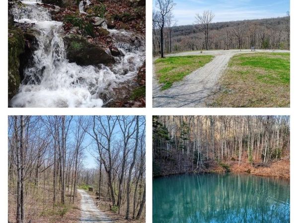 74 Black Cat Trl , Rockwood, TN 37854
