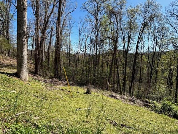 000 ESSLINGER & LOW GAP , Gatlinburg, TN 37738