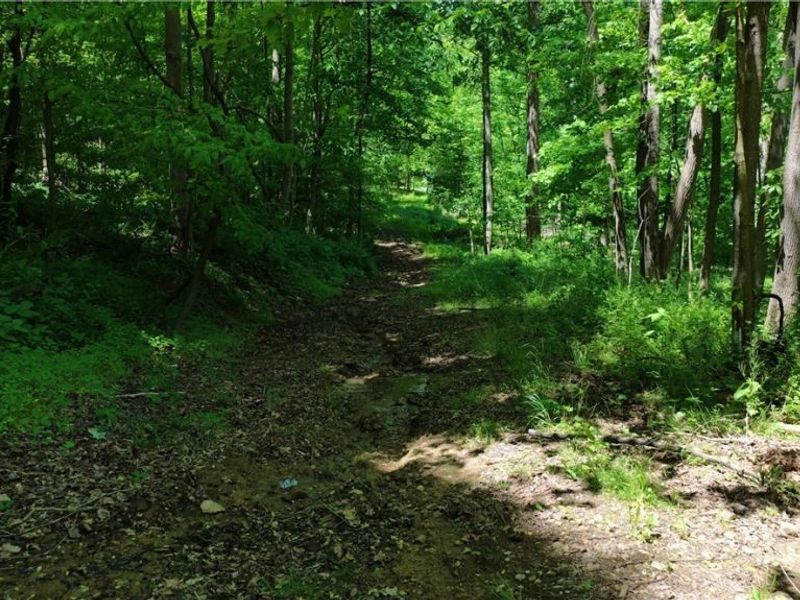 8690 US Route 62, Killbuck, OH 44637 Photo 26