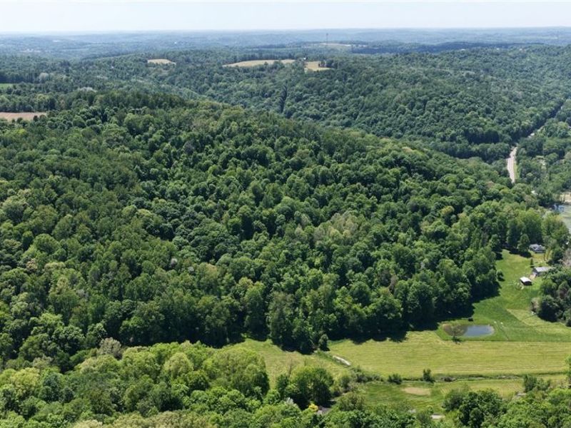 8690 US Route 62, Killbuck, OH 44637 Photo 3