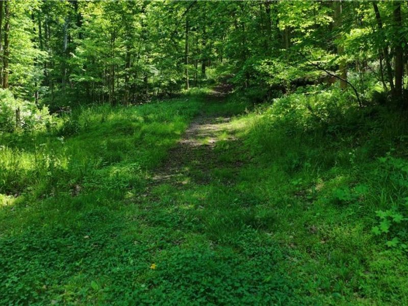 8690 US Route 62, Killbuck, OH 44637 Photo 30