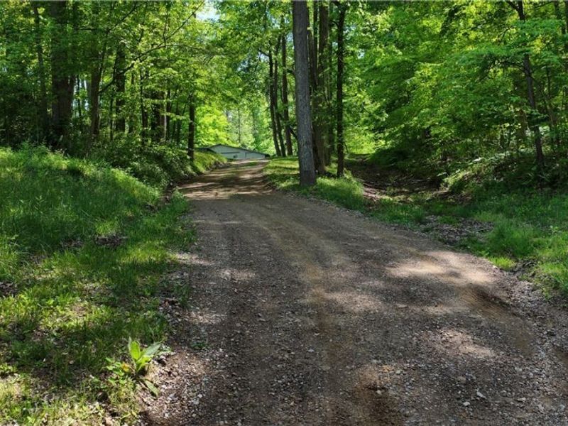 8690 US Route 62, Killbuck, OH 44637 Photo 4