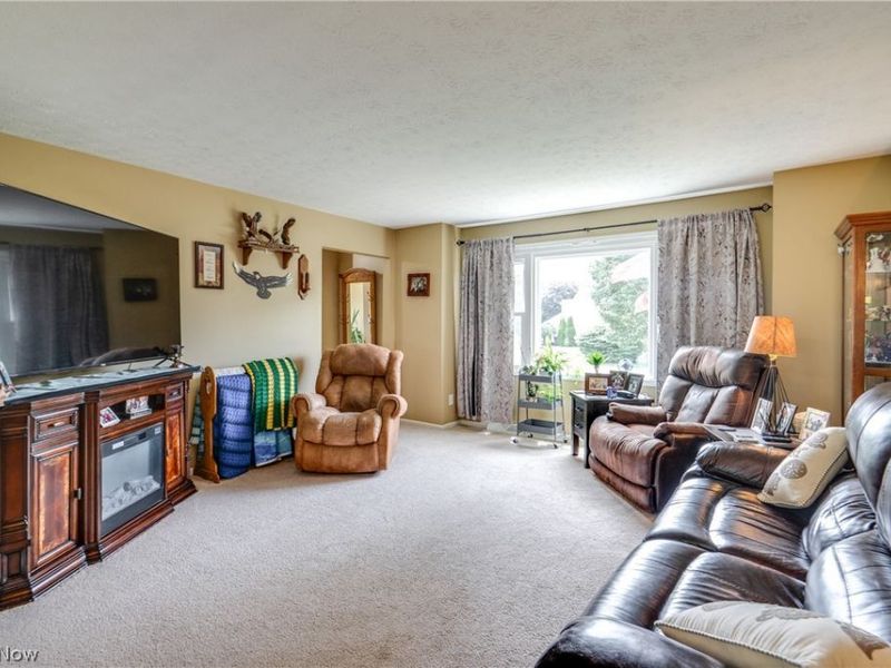 740 Thelma Drive, Wadsworth, OH 44281 Photo 9