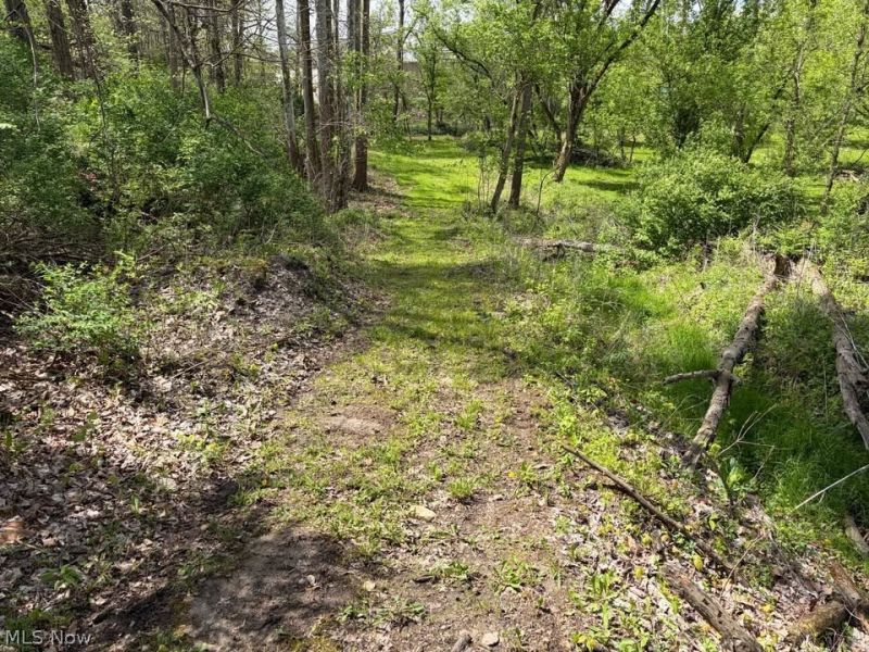 47341 Pitts Road, Wellington, OH 44090 Photo 4