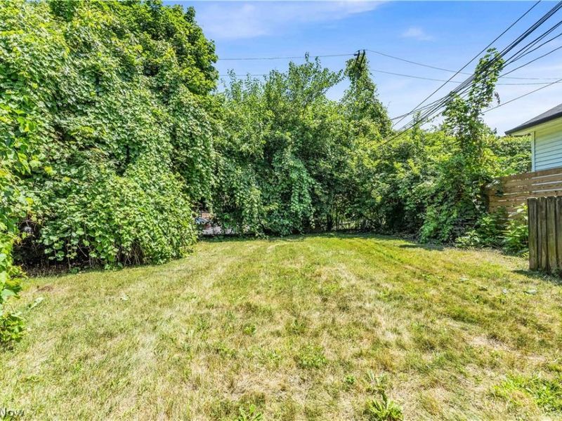 1321 W 85th Street, Unit 2, Cleveland, OH 44102 Photo 22