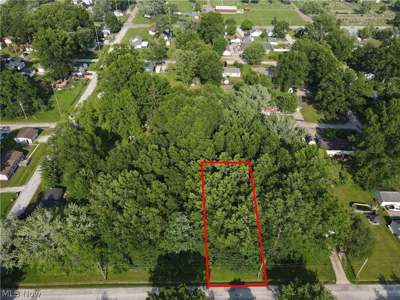 Meadowbrook Avenue NE, Alliance, OH 44601 Photo 1