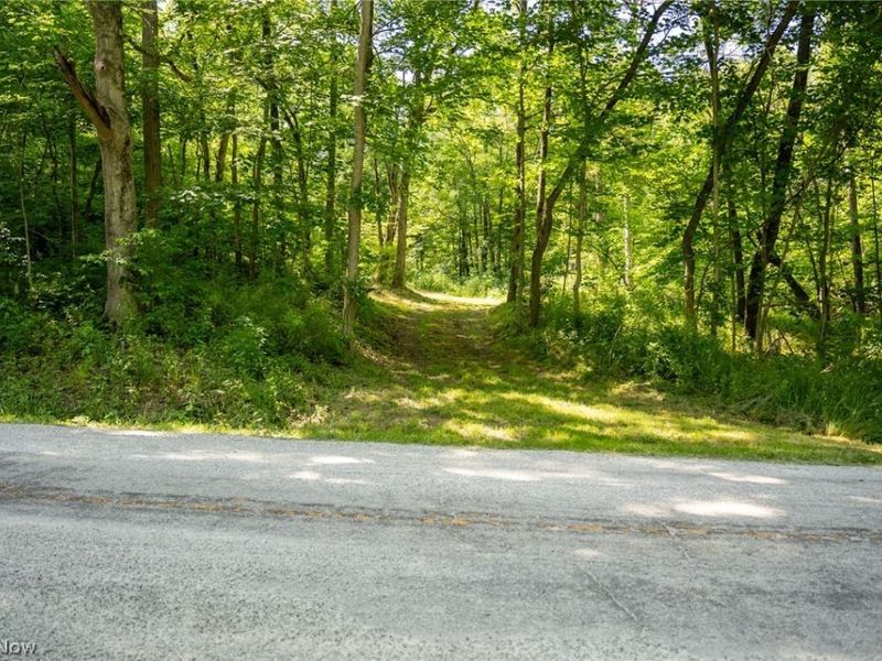 Cr 425, Fresno, OH 43824 Photo 19