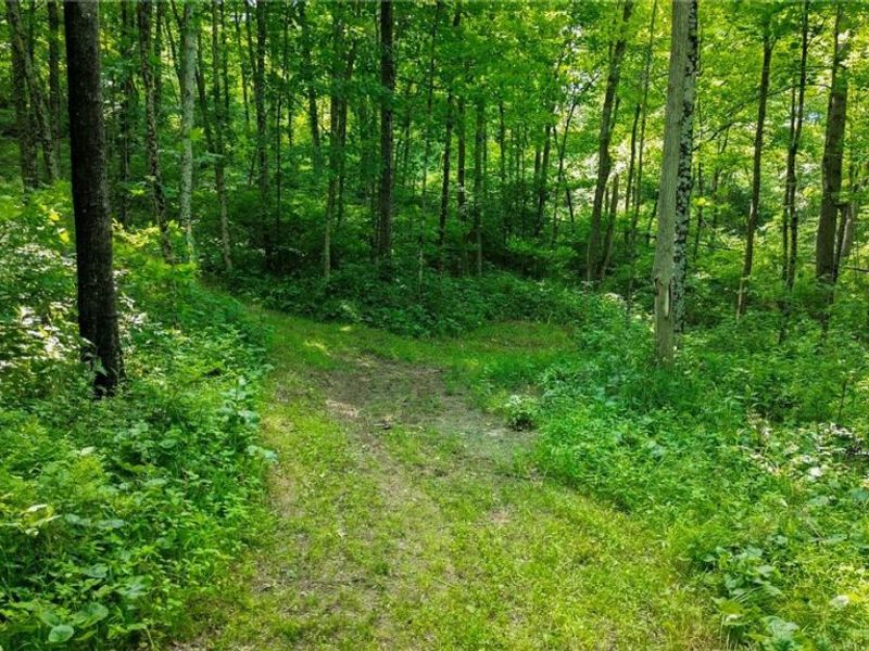 Cr 425, Fresno, OH 43824 Photo 30