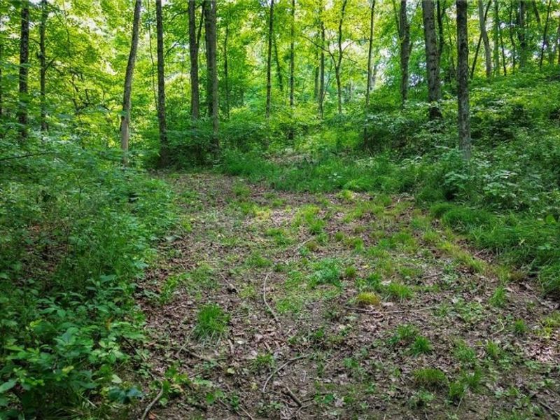 Cr 425, Fresno, OH 43824 Photo 31