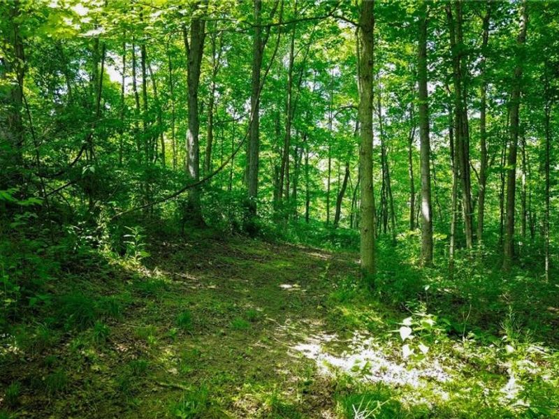 Cr 425, Fresno, OH 43824 Photo 32