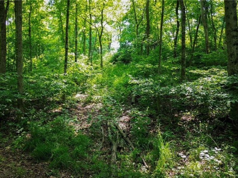 Cr 425, Fresno, OH 43824 Photo 33