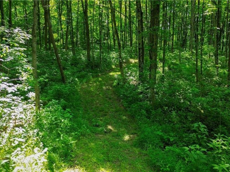Cr 425, Fresno, OH 43824 Photo 36
