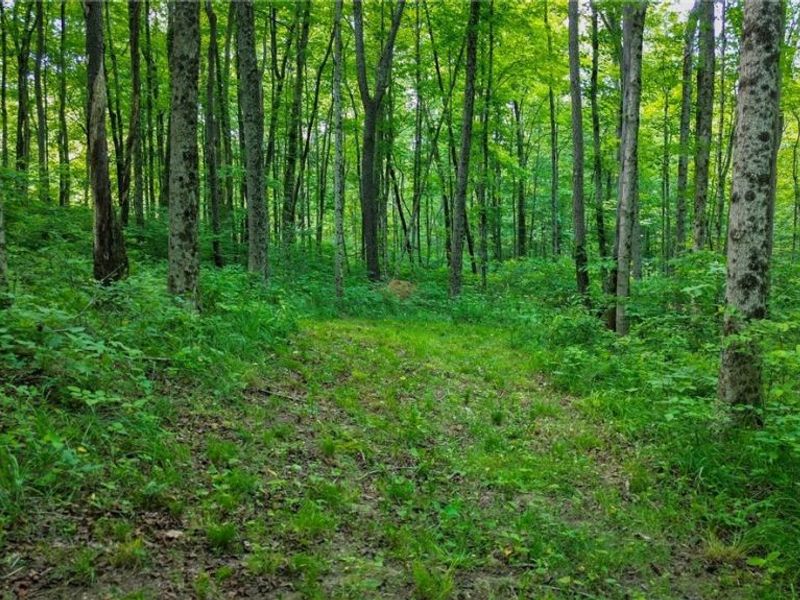 Cr 425, Fresno, OH 43824 Photo 38