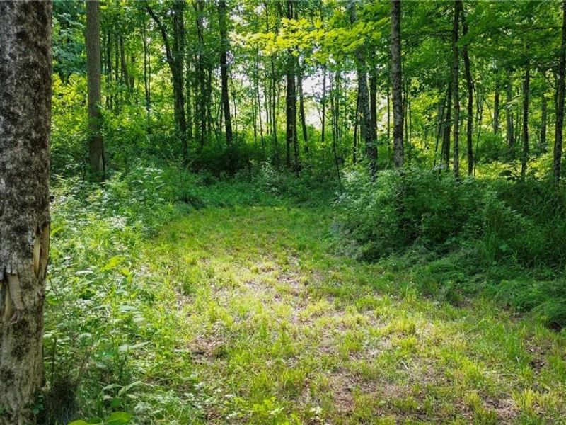 Cr 425, Fresno, OH 43824 Photo 40