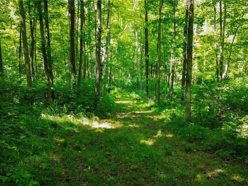 Cr 425, Fresno, OH 43824 Photo 44