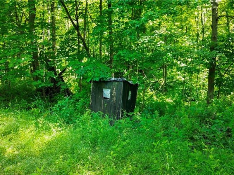Cr 425, Fresno, OH 43824 Photo 45