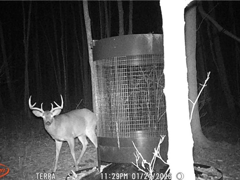 Cr 425, Fresno, OH 43824 Photo 47