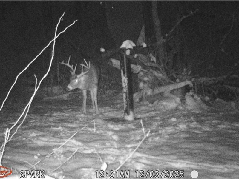 Cr 425, Fresno, OH 43824 Photo 48