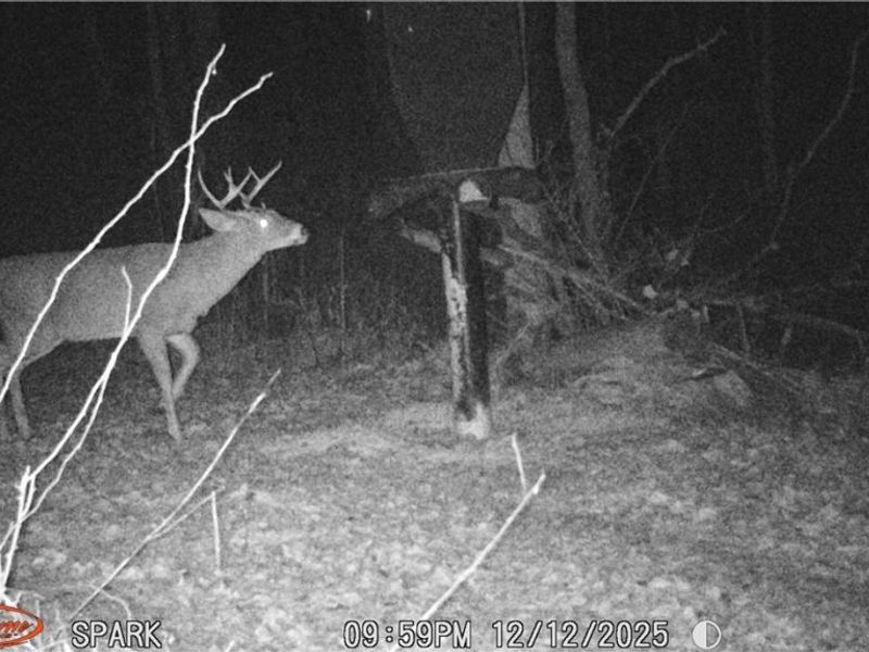 Cr 425, Fresno, OH 43824 Photo 49