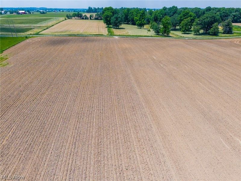 S Kohler Road, Apple Creek, OH 44606 Photo 7