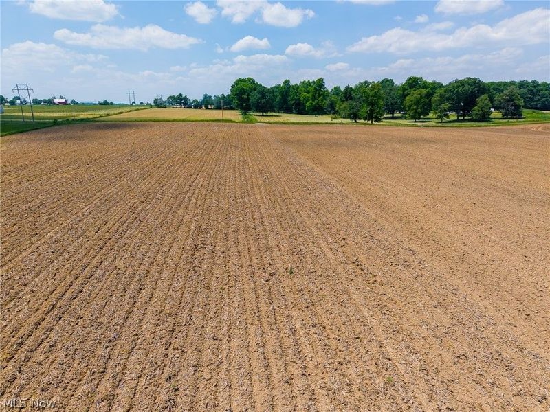 S Kohler Road, Apple Creek, OH 44606 Photo 8