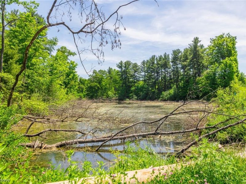 Sampson Drive, Youngstown, OH 44505 Photo 16