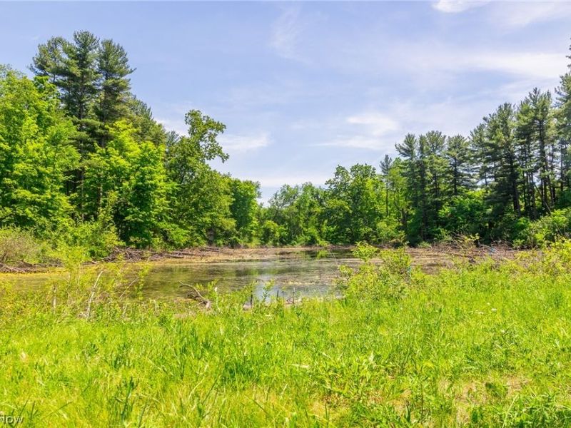 Sampson Drive, Youngstown, OH 44505 Photo 17