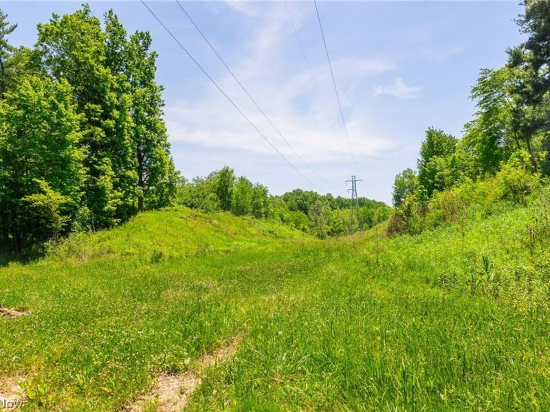 Sampson Drive, Youngstown, OH 44505 Photo 22
