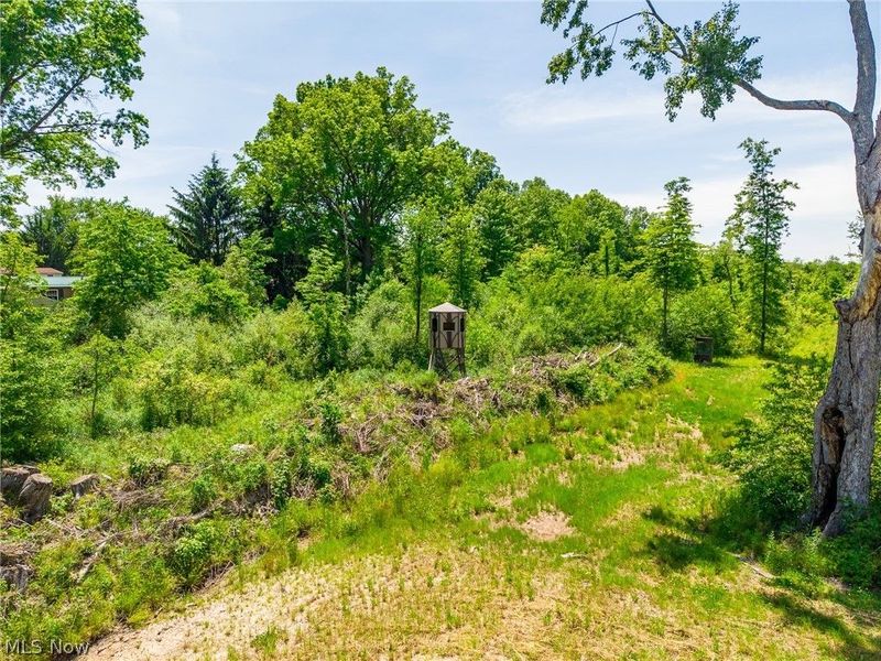 Sampson Drive, Youngstown, OH 44505 Photo 34