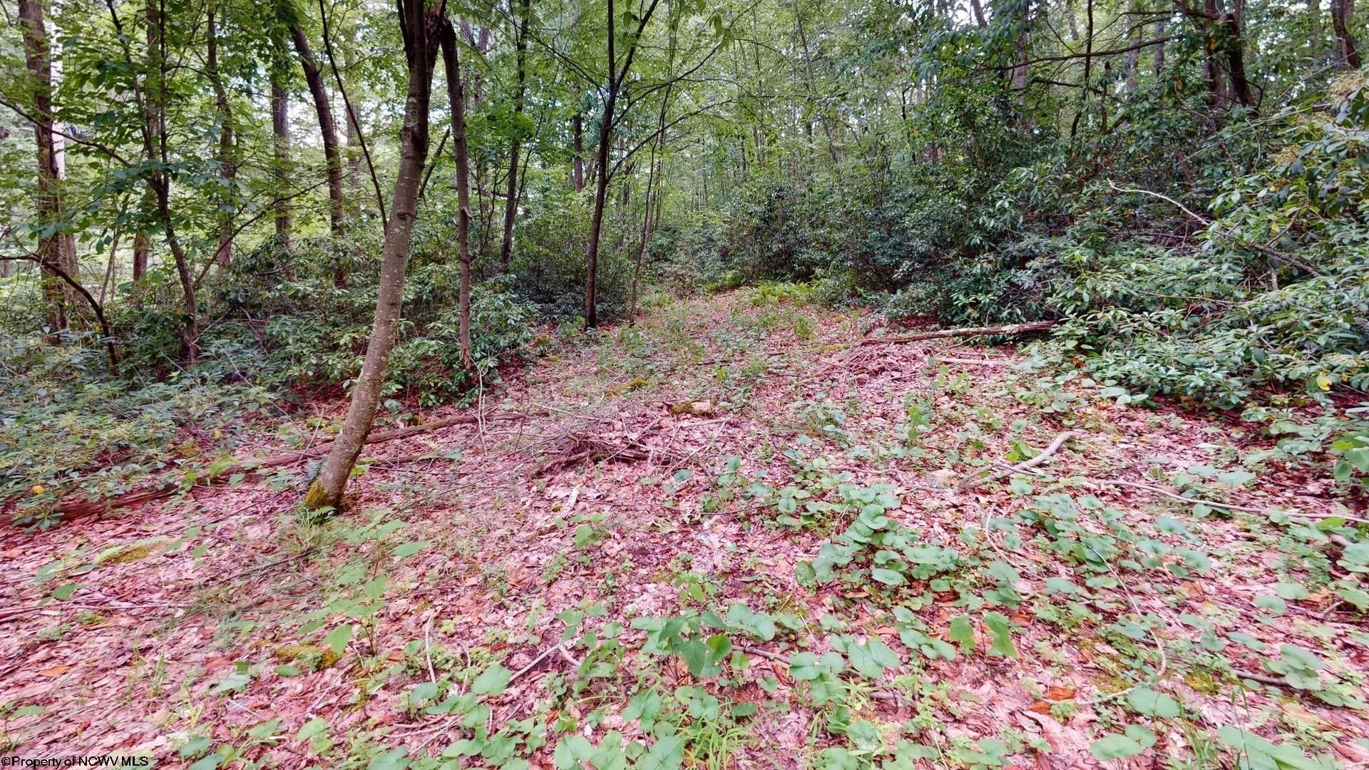 Lot 103 Redwood Drive, Terra Alta, WV 26764 Main Photo