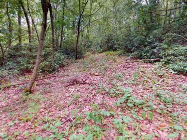 LOT 103 Redwood Drive, Terra Alta, WV 26764