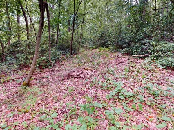 LOT 103 Redwood Drive, Terra Alta, WV 26764