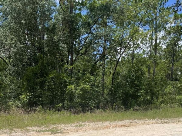 SW 67 LANE & SW 131 CIR, OCALA, FL 34481