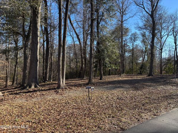 124 River Bluffs Drive , Castle Hayne, NC 28429